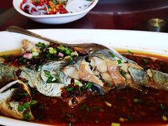 -胖大姐黄辣丁鱼庄(新津店)