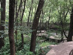 -碓臼峪自然风景区