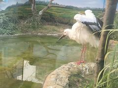-成都动物园