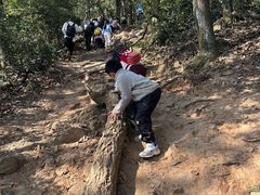-西湖风景区十里琅珰-五云山