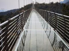 -南丹山森林王国