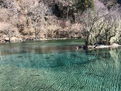景点-毕棚沟景区