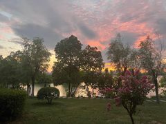 -艾溪湖湿地公园