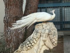 -安塔利亚博物馆