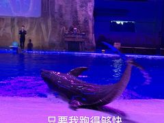 -华夏文旅海洋公园