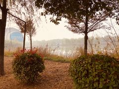 -江苏三台山国家森林公园