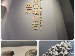 -辽宁古生物博物馆