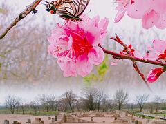 -盘龙城国家考古遗址公园