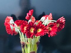 -昆明国际花卉拍卖交易中心