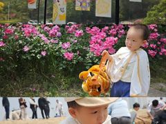 -秦皇岛秦皇国际大酒店