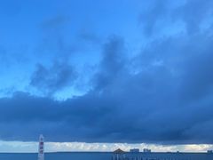 -东郊椰林