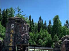 -汤旺河林海奇石景区