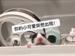 -杭州浪浪浪水公园