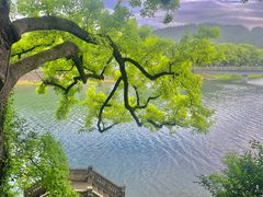 -蒋氏故居