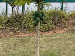 -中国移动南方基地