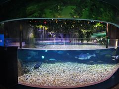 -成都浩海立方海洋公园