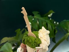 -鹤茶野所(上海首店)