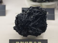 -中国地质博物馆
