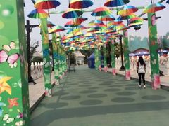 -郑州方特梦幻王国