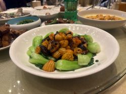 -沈阳君悦酒店·宴会厅