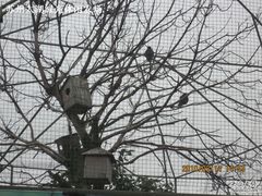 绿光农场照片 021-苏州太湖西山岛开心农场