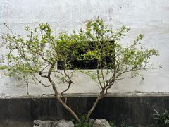 -豫园