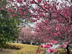 -白塘生态植物园
