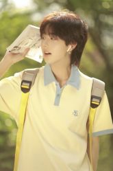 -IDOL-PLUS