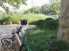 -泰丰公园
