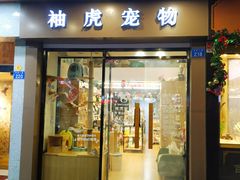 -袖虎宠物·金渐层缅因猫舍(灵芝店)