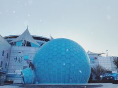 -西安曲江海洋极地公园