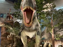 -湖南省地质博物馆