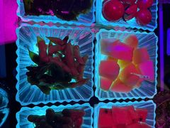 -K歌之王量贩式KTV(洪楼店)