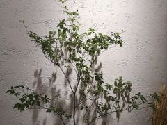-如禾素食·下午茶·糖水