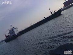 -海河外滩公园