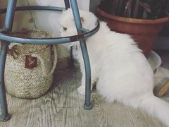 -小时光咖啡馆(北锣鼓巷店)