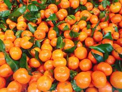 -果多美(三里河店)