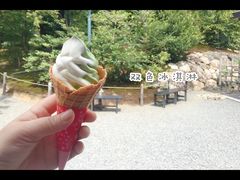 -豆政(金閣寺境内売店)
