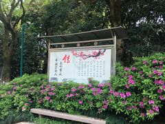 -杭州少年儿童公园