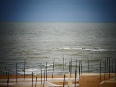 -维乐口腔医院(星海湾分院)