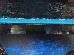 -屋有岛沉浸游戏旗舰店(中山公园店)