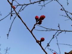-白塘生态植物园