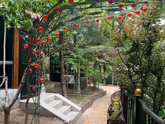 -太阳宫公园