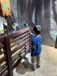 -酷嗒动物文化乐园(cutezoo西溪乐天城店)