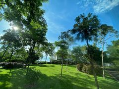 -中国科学院西双版纳热带植物园