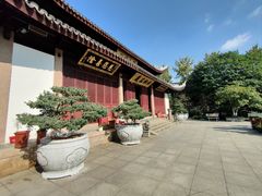 -上海东林寺(金山区)