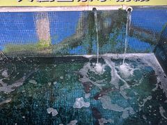 -溪悦渔庄(九龙湖店)