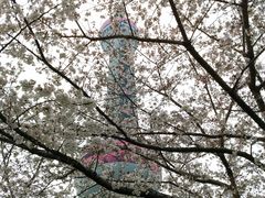 -东方明珠广播电视塔