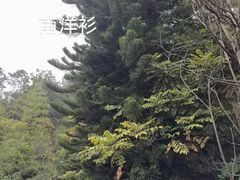 -草庵摩尼教遗址公园