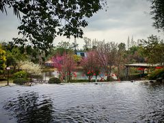 -成飞公园